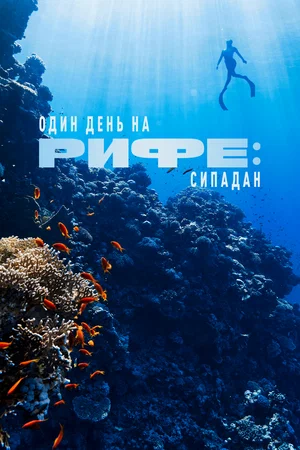 Постер: Один день на рифе: Сипадан