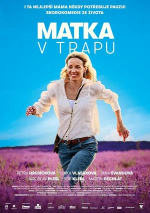 Постер: Мать в ловушке