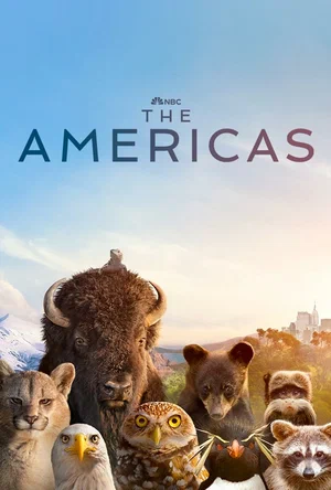 Постер: Америка