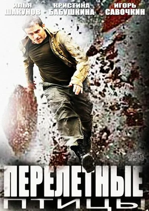Постер: Перелётные птицы