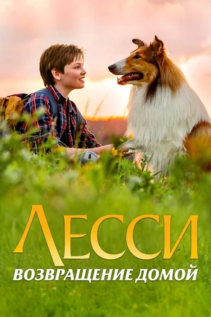 Постер: Лесси. Возвращение домой