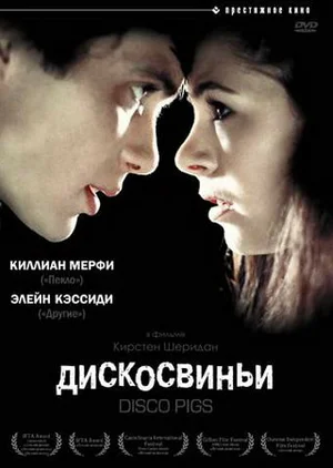 Постер: Дискосвиньи