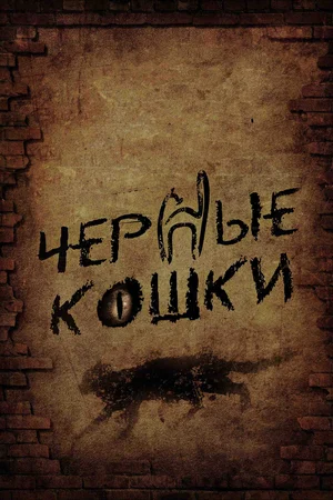Постер: Черные кошки