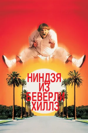 Постер: Ниндзя из Беверли Хиллз
