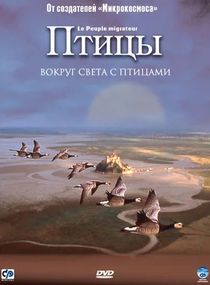 Постер: Птицы