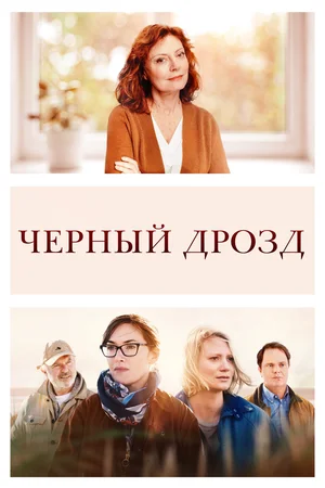 Постер: Чёрный дрозд