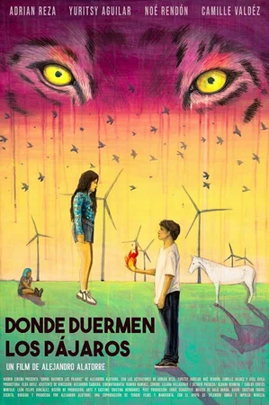 Постер: Там, где спят птицы