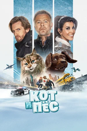 Постер: Кот и пёс
