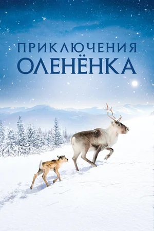 Постер: Приключения оленёнка