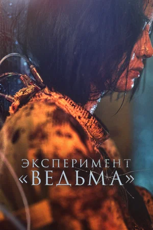Постер: Ведьма 2