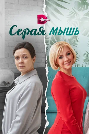 Постер: Серая мышь